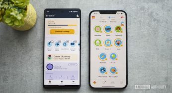 Después de años de no poder aprender idiomas en Duolingo, cambié a Memrise