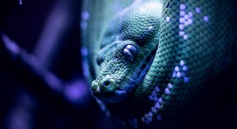 Esta lista de verificación rápida y fácil de 7 pasos lo ayudará a escribir un mejor código de Python para la ciencia de datos