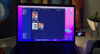 Raspberry Pi Pico utilizado en el monitor del sistema Plug and Play