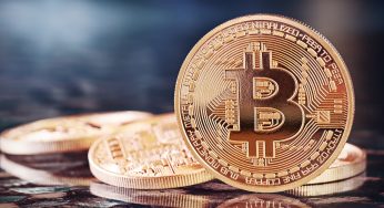 Hombre que tiró millones en bitcoins quiere usar IA y robots para encontrarlos en la basura