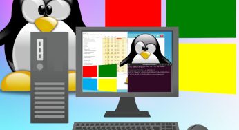 Cómo Arrancar Dual Linux y Windows 11
