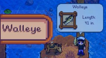 ¿Cómo atrapar a Walleye Stardew Valley?