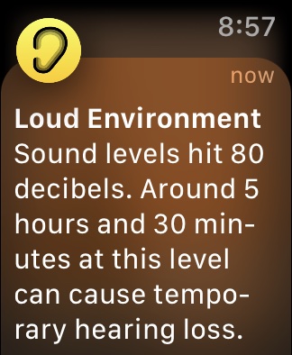 Captura de pantalla de Apple Watch Aplicación de ruido Alerta fuerte