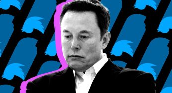 Elon Musk volvió a habilitar las cuentas de Twitter de varios periodistas prohibidos por @ElonJet