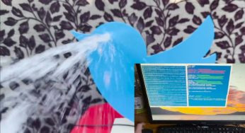 Raspberry Pi Bird llora cuando los usuarios abandonan Twitter