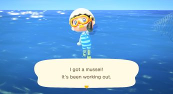 ¿Qué es un mejillón en Animal Crossing?