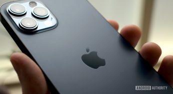 Todas las principales compañías telefónicas están perdiendo una cantidad significativa de dinero en este momento, excepto Apple